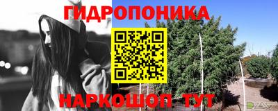стаф Заводоуковск