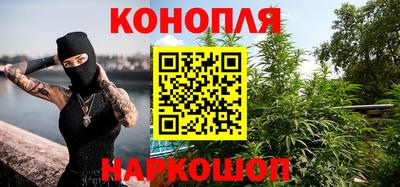 стаф Заводоуковск