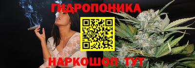 индика Беслан