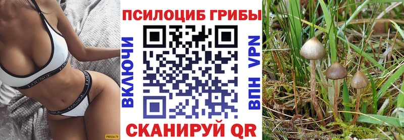 Псилоцибиновые грибы GOLDEN TEACHER где продают Ливны