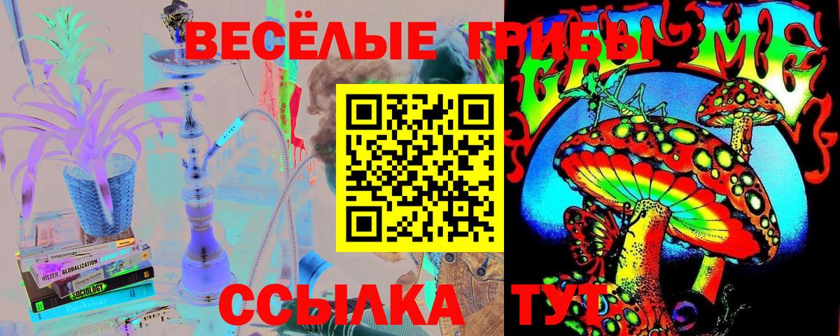 Галлюциногенные грибы MAGIC MUSHROOMS Ливны