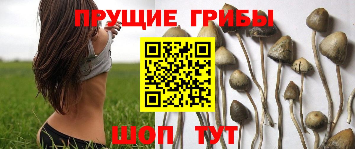 ГАШ  Конопля  Меф   КОКАИН  ТГК  Ливны  ГАШ  A PVP СК   Вход с VPN 