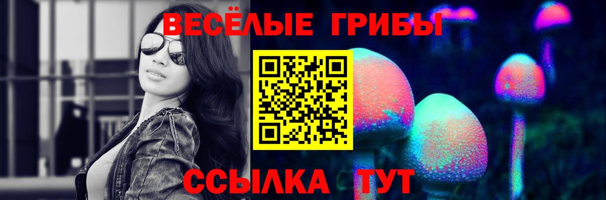 Галлюциногенные грибы мухоморы  где можно купить наркотик  Ливны  Галлюциногенные грибы ЛСД 