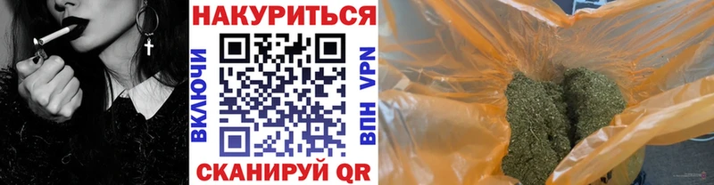 купить наркотик  Ливны  ссылка на мегу ссылки  Бошки Шишки сатива 